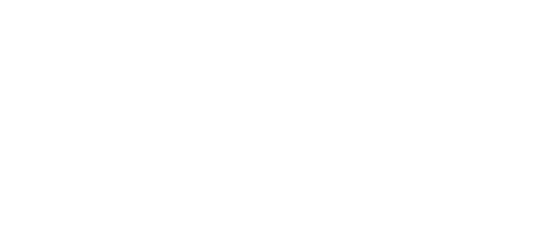 LOGOWEB